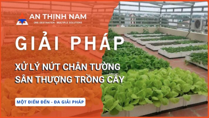 2 giải pháp xử lý nứt chân tường sân thượng trồng cây