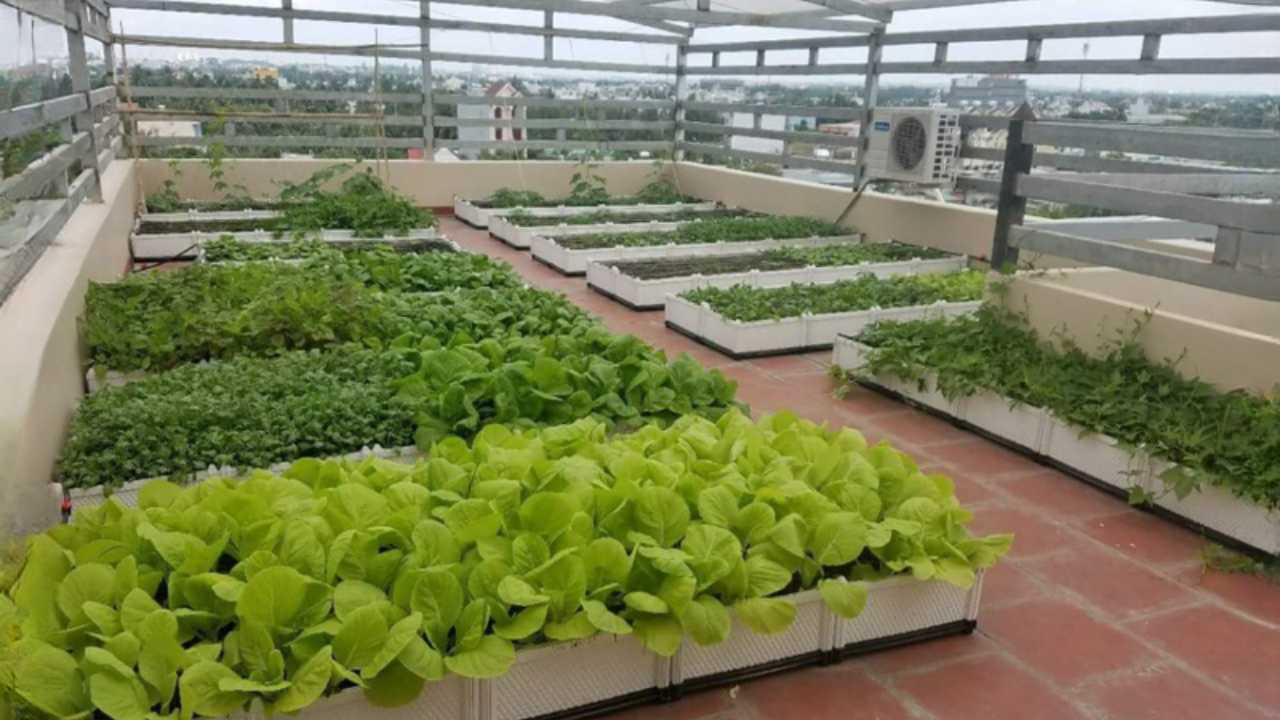 2 giải pháp xử lý nứt chân tường sân thượng trồng cây hiệu quả