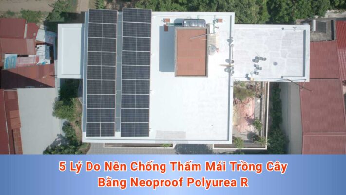 5 Lý Do Nên Chống Thấm Mái Trồng Cây Bằng Neoproof Polyurea R