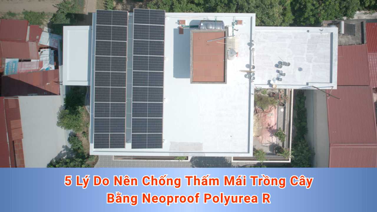 5 Lý Do Nên Chống Thấm Mái Trồng Cây Bằng Neoproof Polyurea R