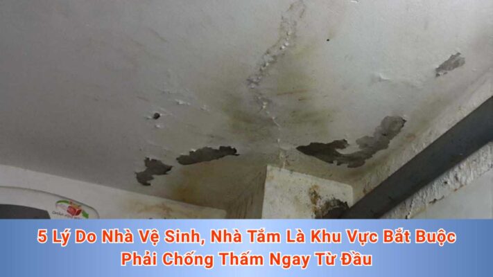 5 Lý Do Nhà Vệ Sinh, Nhà Tắm Là Khu Vực Bắt Buộc Phải Chống Thấm Ngay Từ Đầu