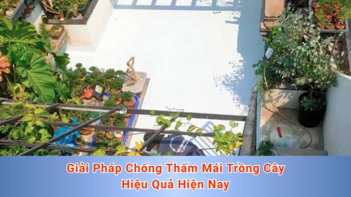 Giải Pháp Chống Thấm Mái Trồng Cây Hiệu Quả Hiện Nay (1)