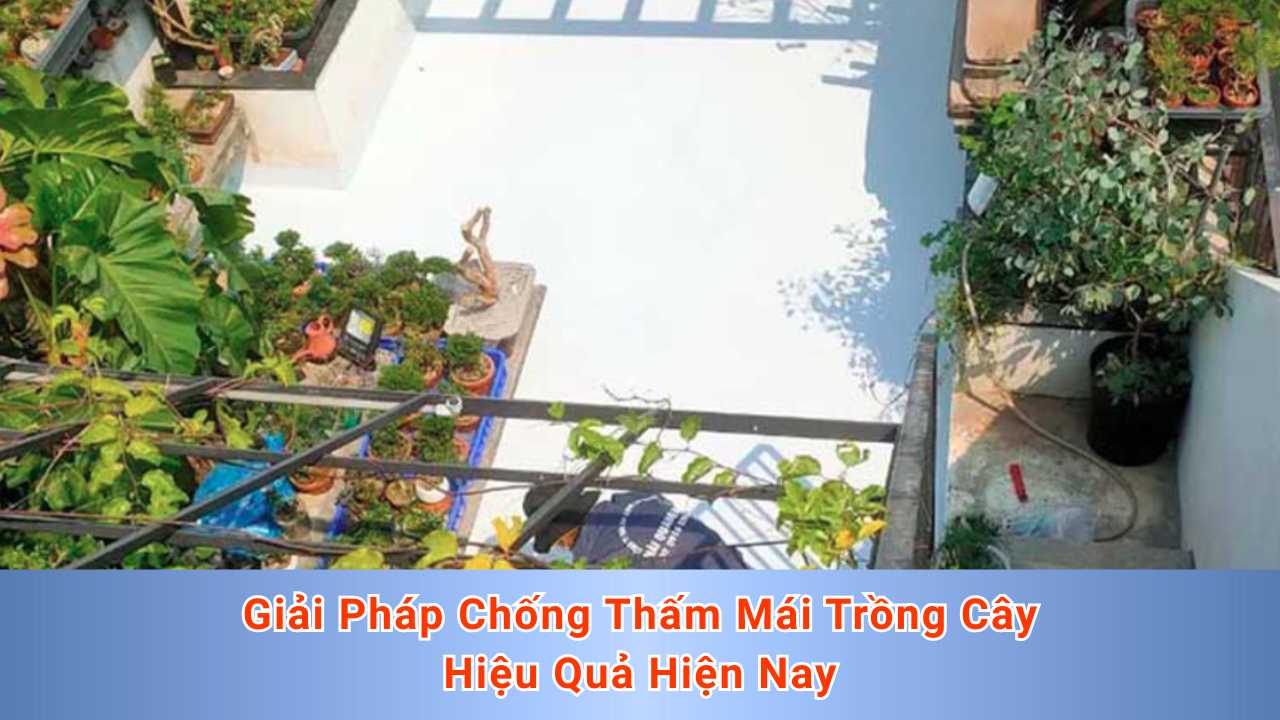 Giải Pháp Chống Thấm Mái Trồng Cây Hiệu Quả Hiện Nay (1)