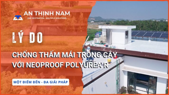 Lý do chống thấm mái trồng cây với neoproof polyurea r