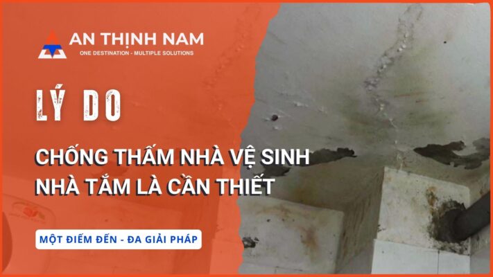 Lý do chống thấm nhà vệ sinh, nhà tắm là cần thiết