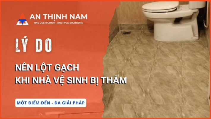 Lý do nên lột gạch khi nhà vệ sinh bị thấm