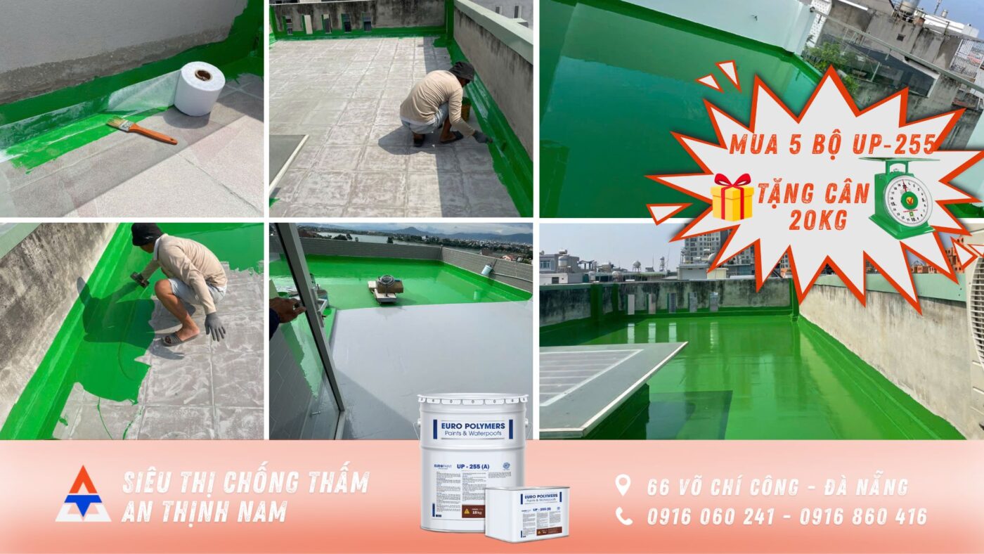 Mua 5 bộ Euro Polymers UP-255 tặng cân 20 kg