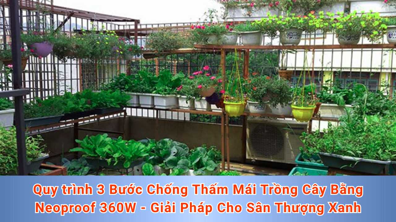 Quy trình 3 Bước Chống Thấm Mái Trồng Cây Bằng Neoproof 360W - Giải Pháp Cho Sân Thượng Xanh